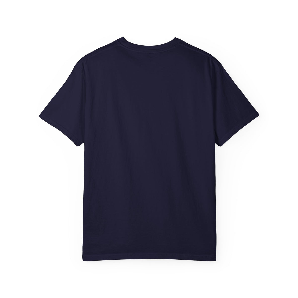 ASSMAN License Plate Garment-Dyed T-shirt