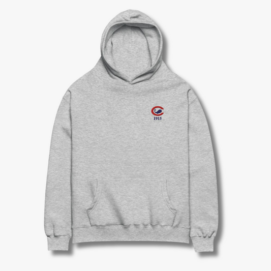 Chicago Whales Embroidered Oversized Hoodie